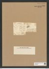 Triceratium castellatum West (de-Toni-Nr.: Genus 140, Species 3976) Zeichnungen Sammlung Grunow Nr. 7449 (NHMW-BOT-W0376539)